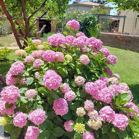 Appartement A Due Passi Dal Mare *