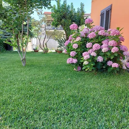 A Due Passi Dal Mare アルバタクス