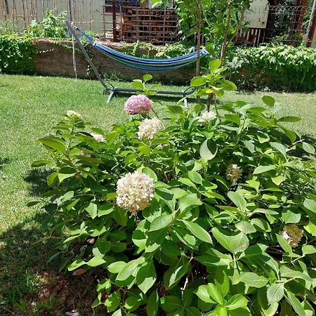 Lejlighed A Due Passi Dal Mare